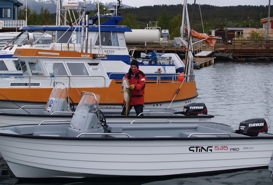 Fishing boats at the Vikran marina